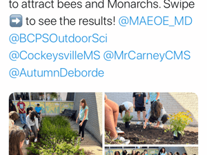 planting native plants